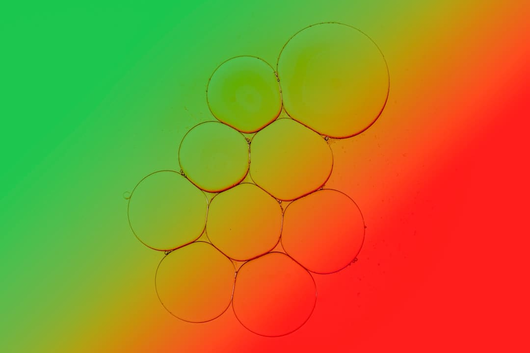 《白玫瑰》大结局林然找到了没 林然结局是什么?